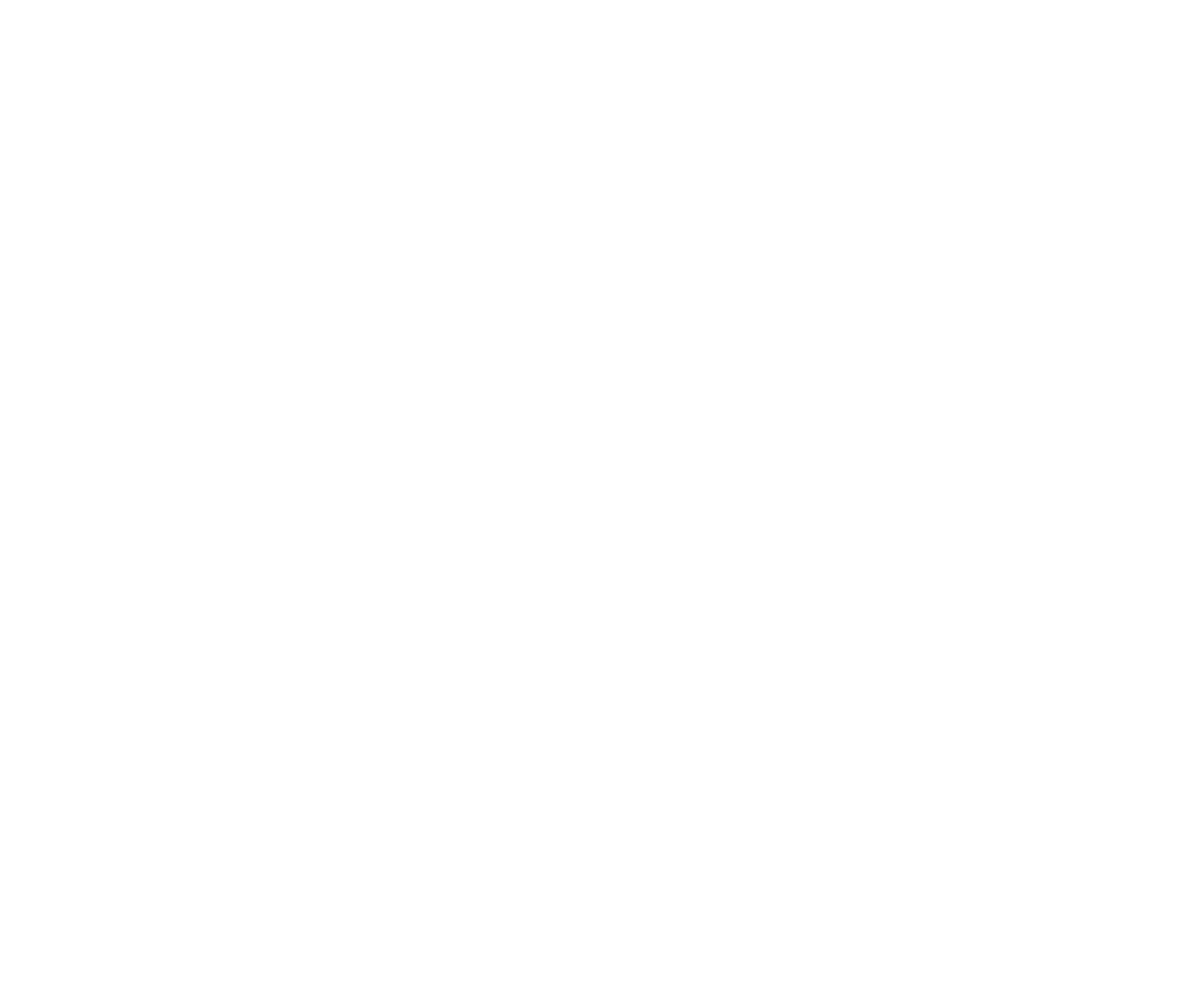 North Star logo WHITE